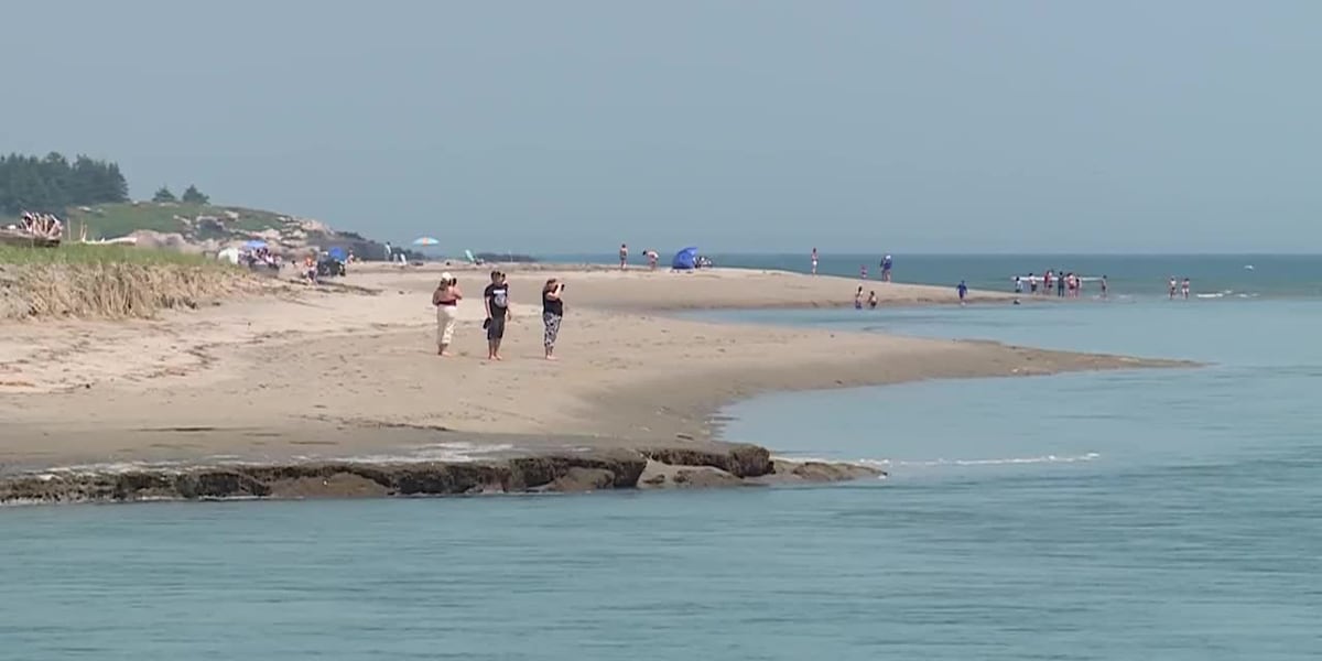 Quicksand traps beachgoer up to their waist [Video]
