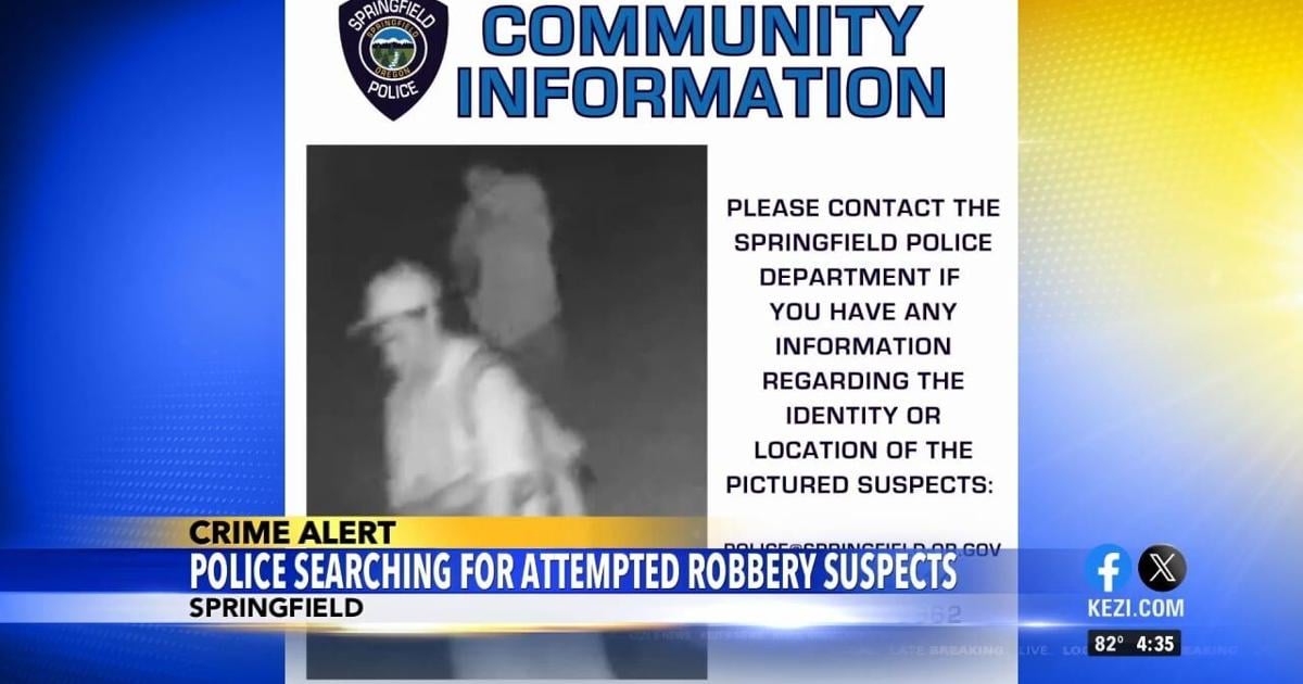 Springfield Police Department searching for suspects in attempted home robbery | Video