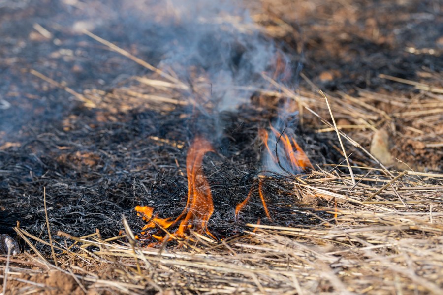 Tips for wildfire prevention: NWS [Video]