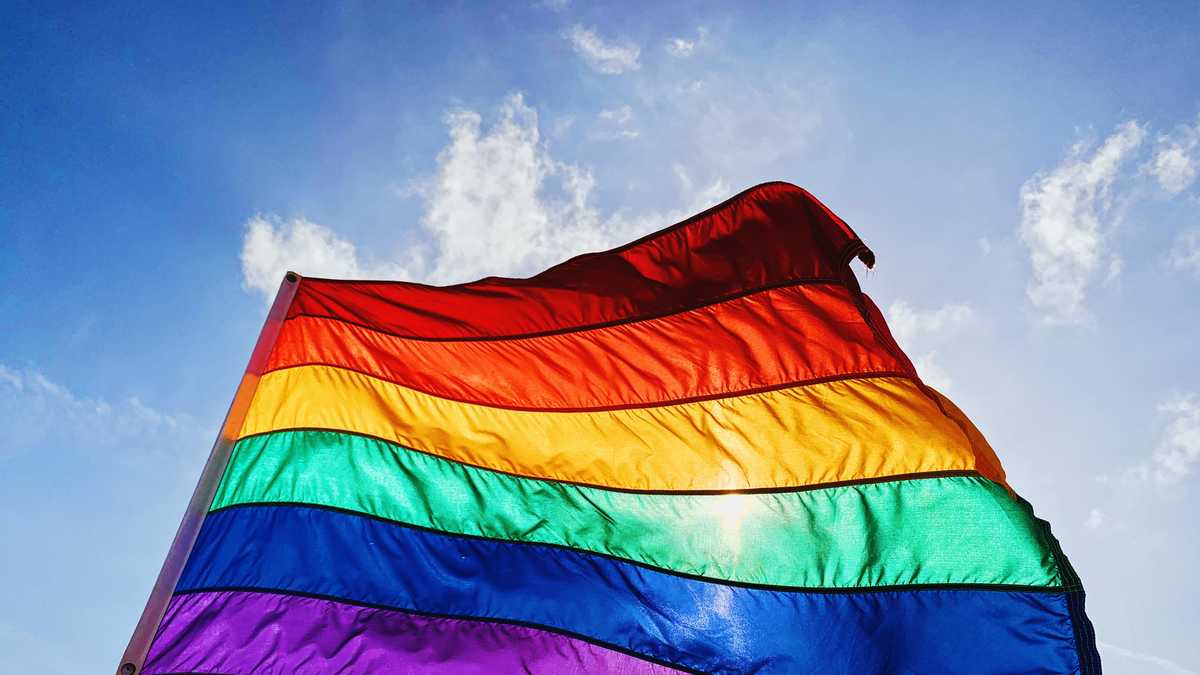 Health concerns affecting the LGBTQ+ community [Video]