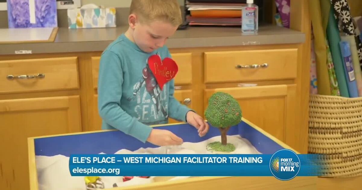 Ele’s Place West Michigan seeking volunteers for facilitator training [Video]