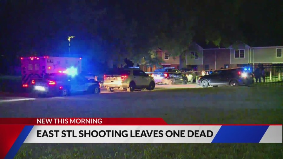 Woman shot dead at Roosevelt Homes in East St. Louis [Video]