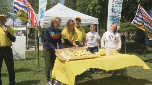 Fundraiser walk for stroke survivors held in West Vancouver [Video]