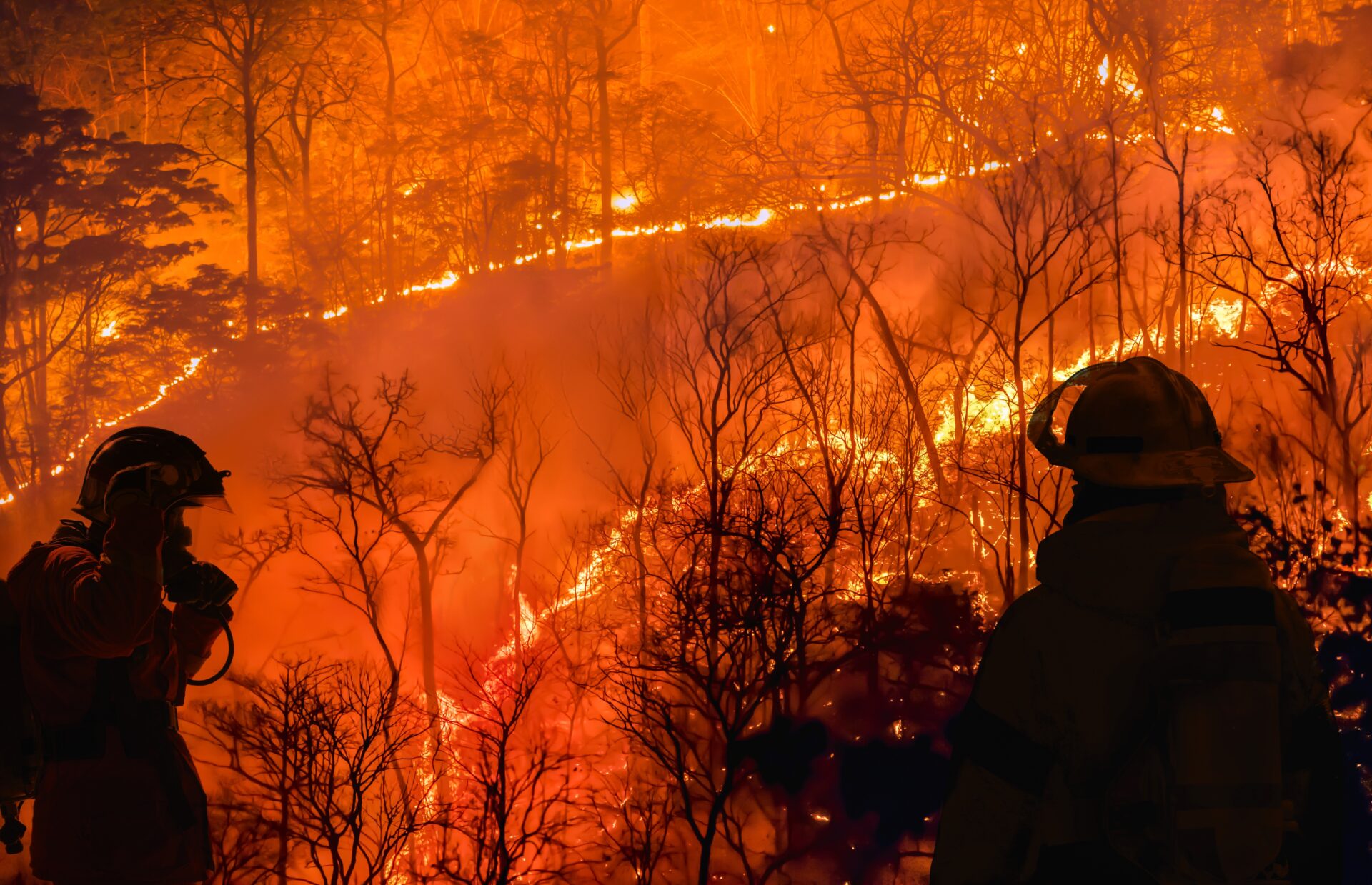 Two Fast-Moving California Wildfires Expand Into Thousands Of Acres [VIDEOS]