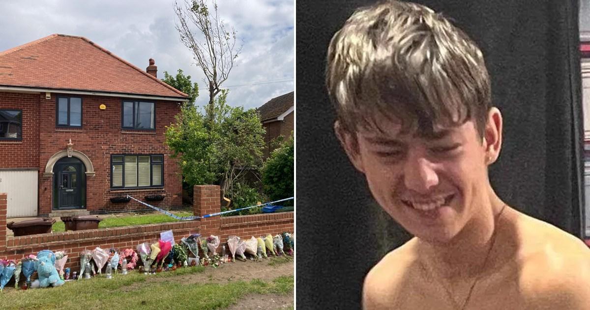 Boy, 16, killed by falling tree in freak accident while earning pocket money | UK News [Video]
