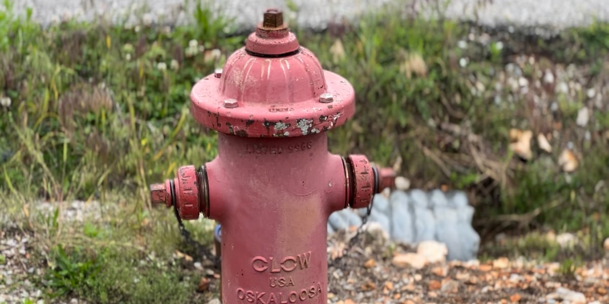 Fire Hydrant Task Force issues new order requiring all WV fire hydrants be inspected [Video]