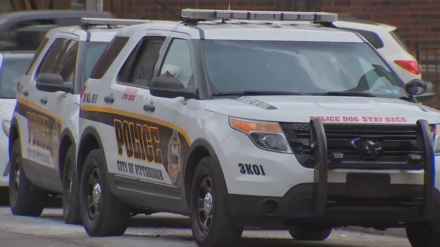 2 arrested after carjacking in Garfield  WPXI [Video]