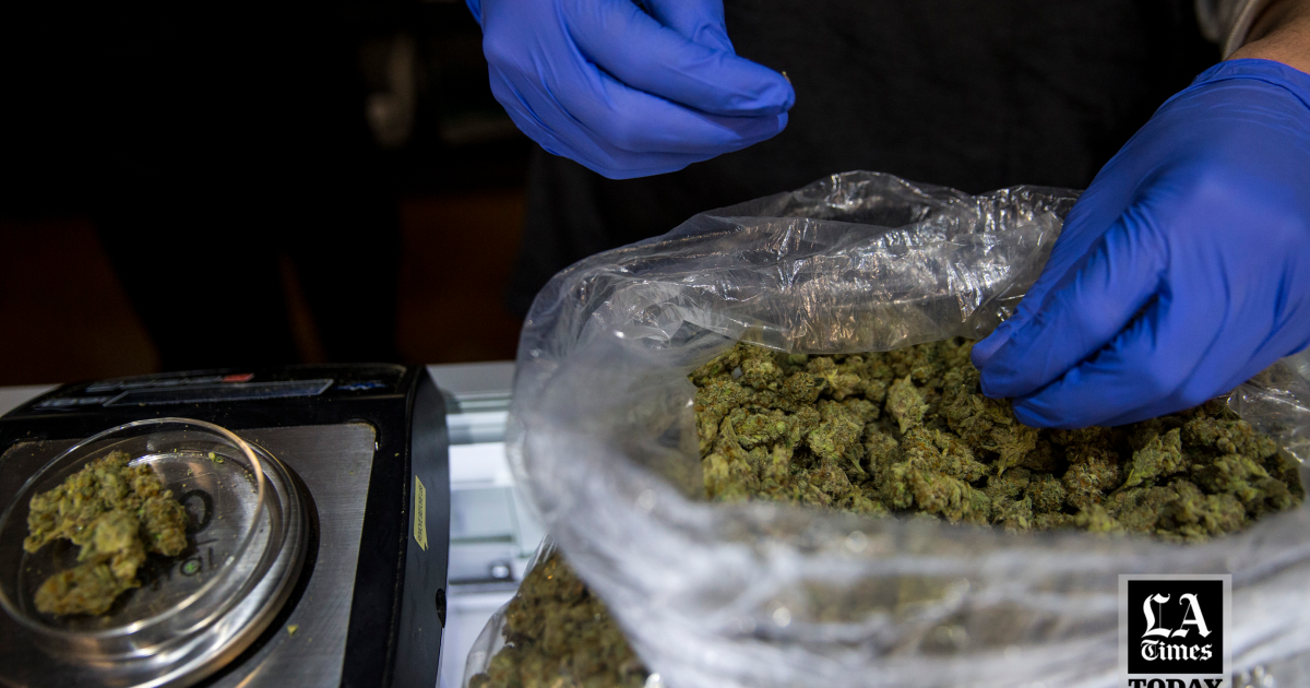 LA Times Today: The dirty secret of Californias legal weed [Video]