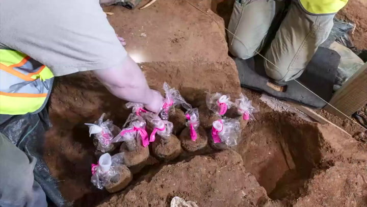 Archaeologists find preserved fruits in George Washingtons home | News [Video]