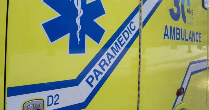 Quebec construction worker dies after equipment falls on him, investigation underway [Video]