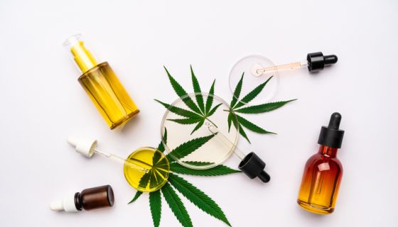 NC Senate Moves Towards Legalizing Medical Marijuana [Video]