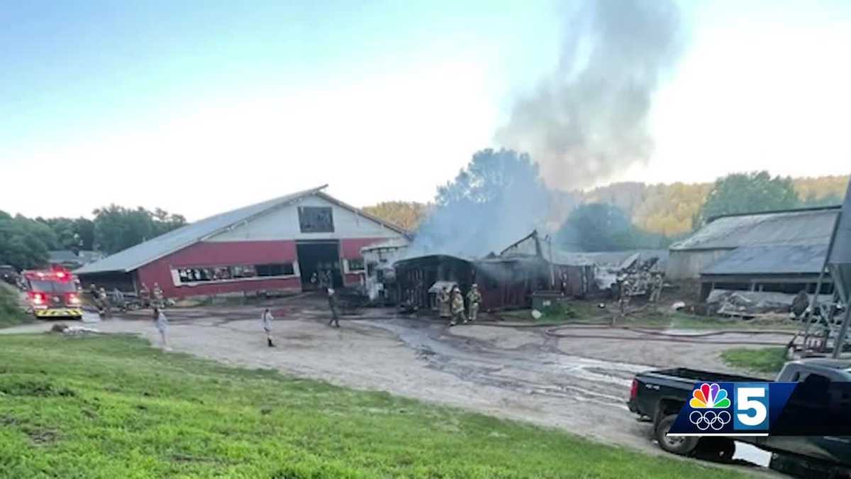 Milton dairy farm continues recovering after devastating weekend fire [Video]