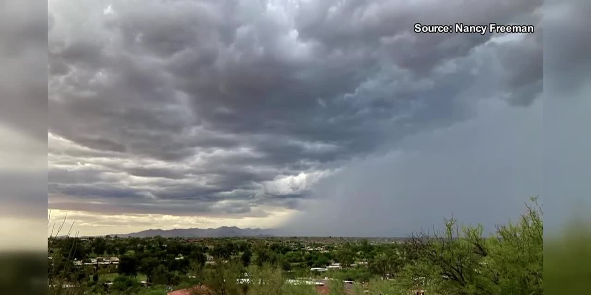 13 News viewer submitted storm pics [Video]