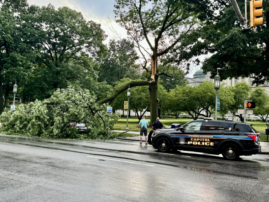Portion of tree falls on parked car in Harrisburg [Video]