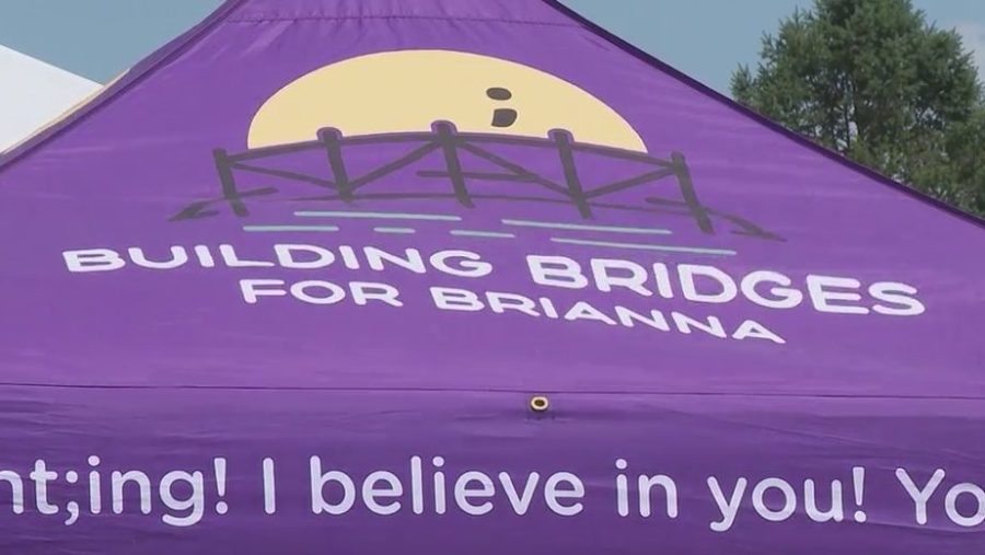 Building Bridges for Brianna festival bridges gaps to help community [Video]