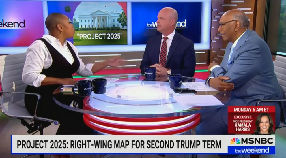 Symone Sanders-Townsend Host Shuts Down Kevin Roberts [Video]