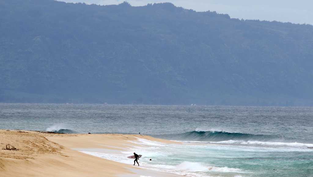 Hawaii lifeguard dies in shark attack off Oahu [Video]
