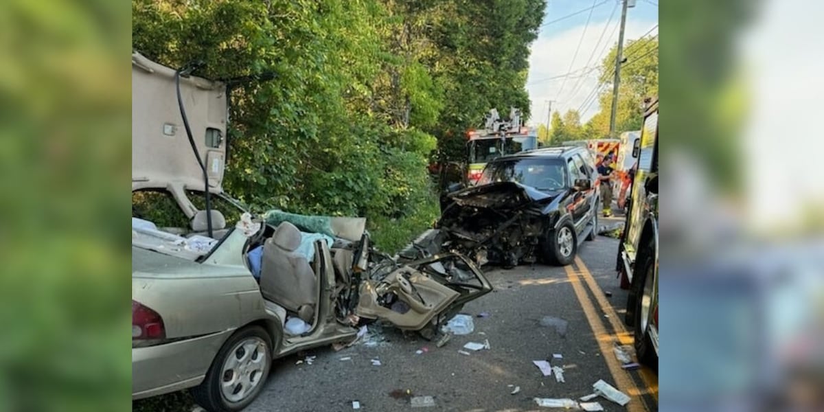 2 women, unborn baby killed in head-on car crash, troopers say [Video]