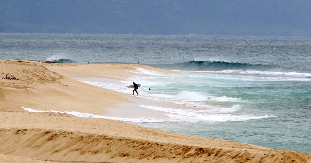 Hawaii lifeguard dies in shark attack while surfing off Oahu [Video]