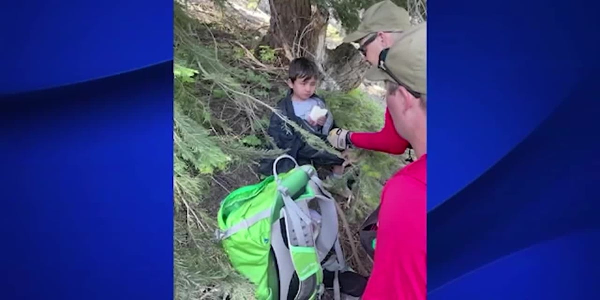 Missing 4-year-old found safe after nearly 24 hours alone in wilderness [Video]