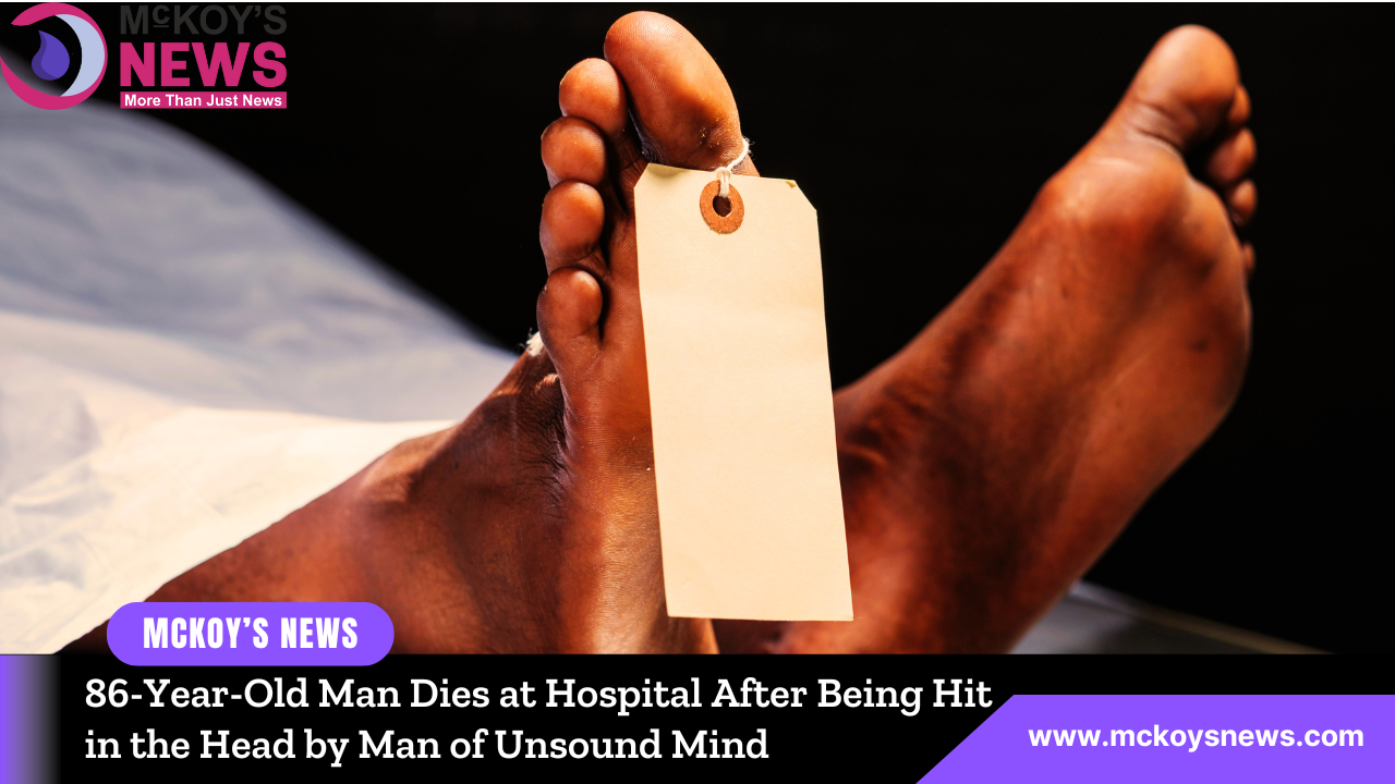86-Year-Old Man Dies at Hospital After Being Hit in the Head by Man of Unsound Mind [Video]