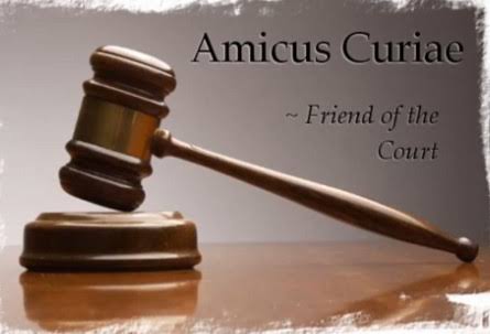 Amicus Curiae [Video]
