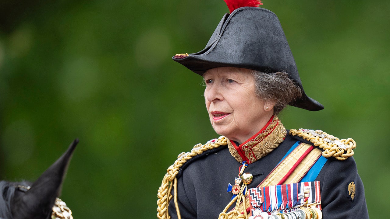 Princess Anne, sister of King Charles, suffering memory loss after horse-related concussion: report [Video]