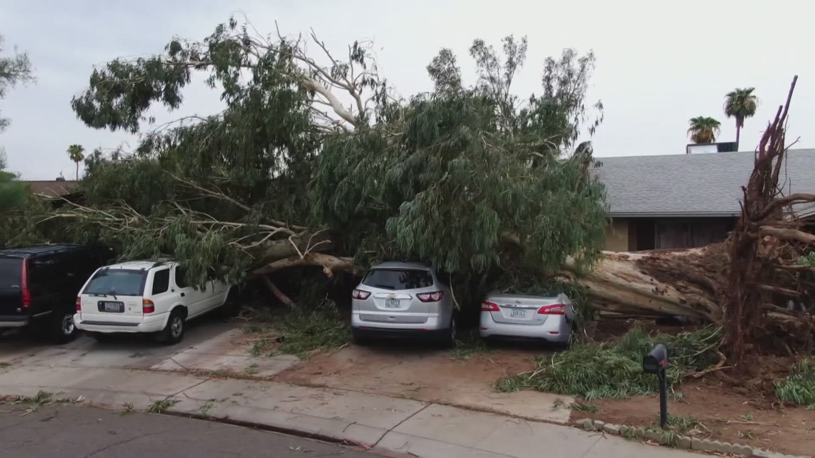 What monsoon damage does insurance cover? [Video]