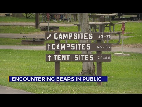 Safety measures you can take to help avoid bear encounters [Video]