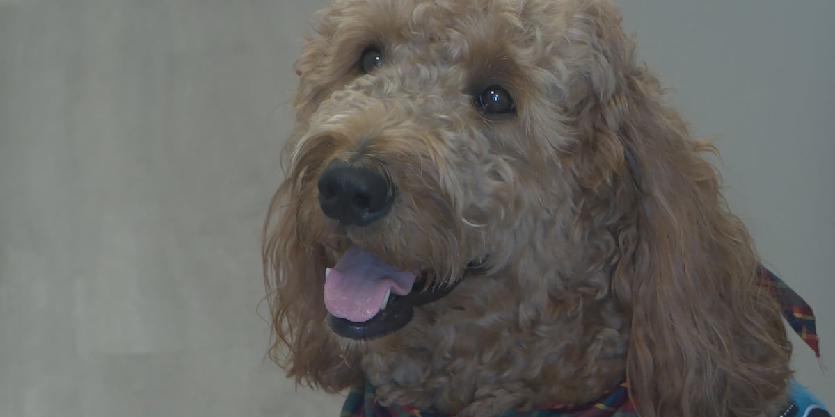 Literacy Volunteers of Marion County offers summer reading program with a furry friend [Video]