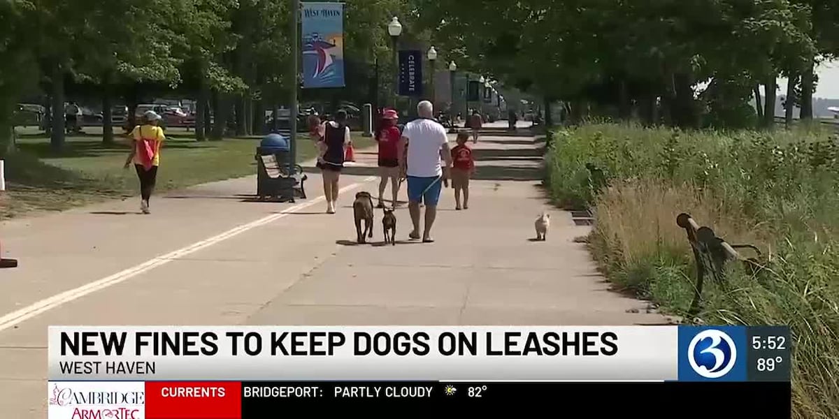 West Haven considers stricter enforcement for dog owners on beaches [Video]