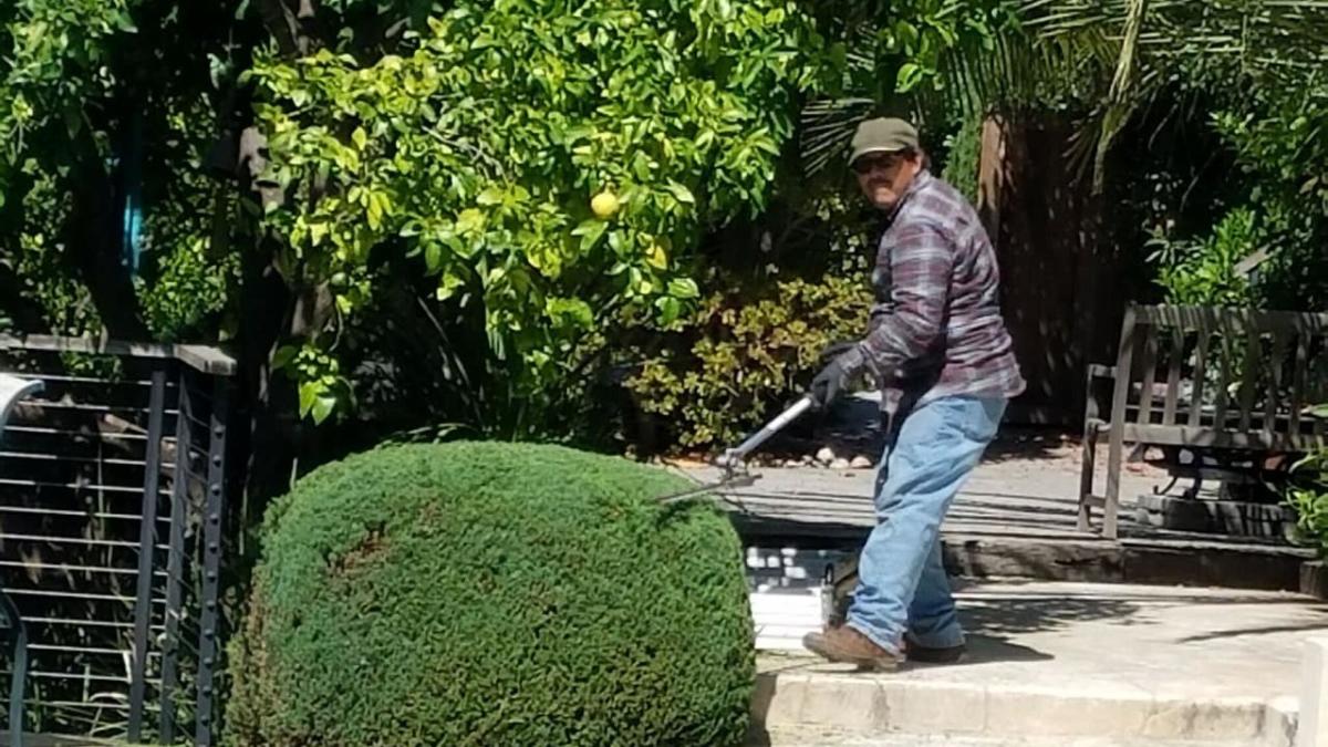 Thieves steal Hayward gardener’s tools [Video]