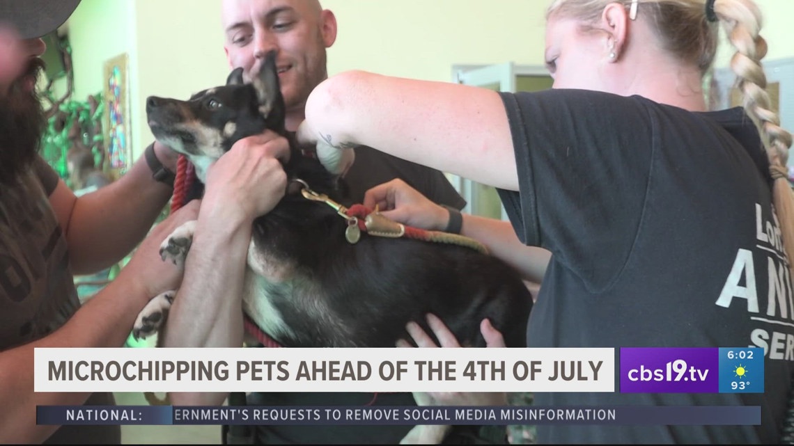 Local animal services group offering free microchipping [Video]
