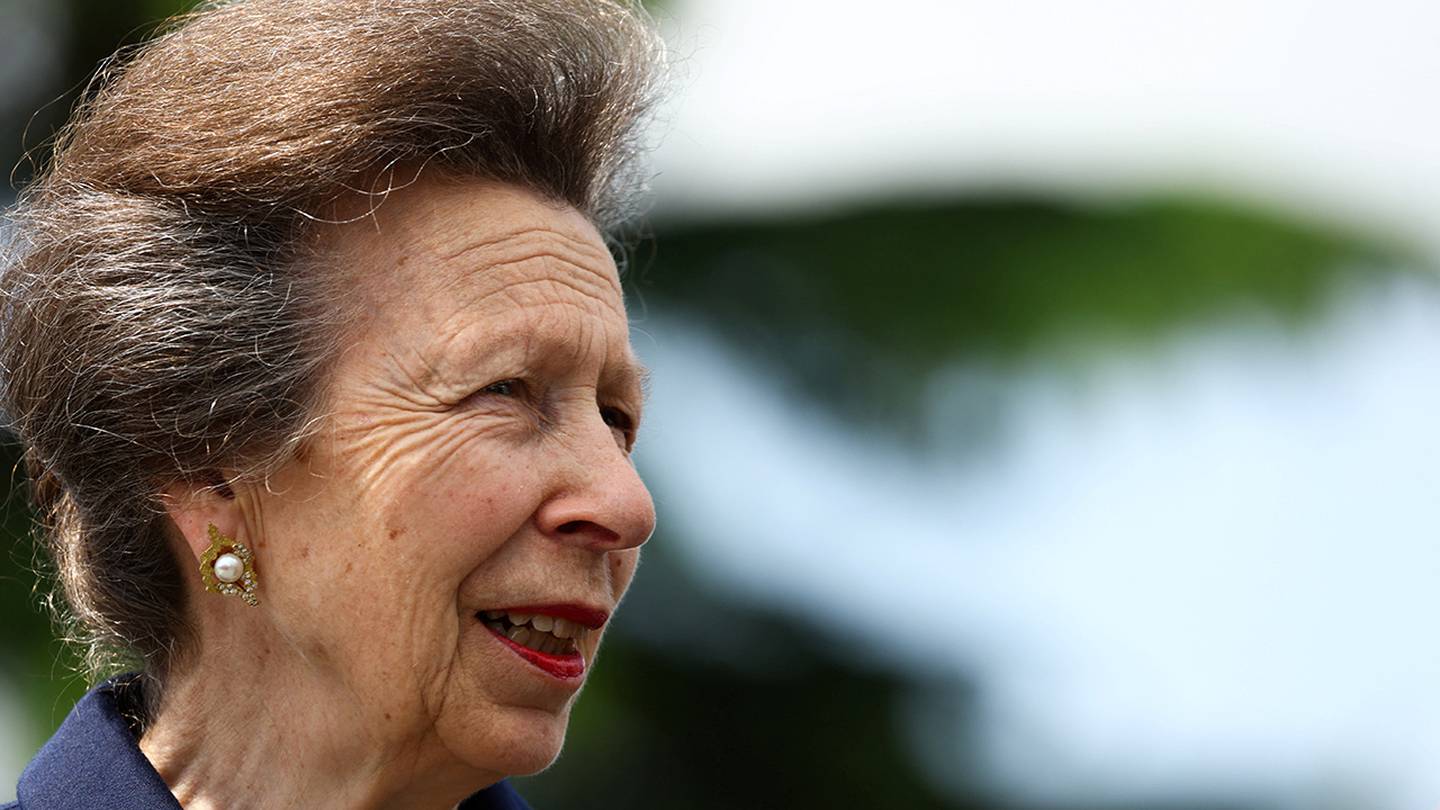 Princess Anne leaves hospital after treatment for minor head injuries, concussion  WFTV [Video]