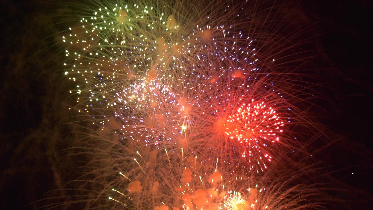 Fourth of July fireworks, pet safety tips 2024 [Video]