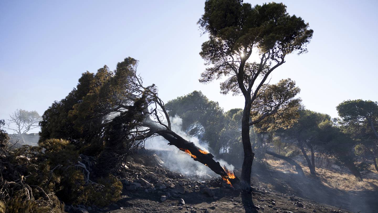 Firefighters tackle blazes on Greek islands of Chios and Kos as premier warns of ‘dangerous summer’  WHIO TV 7 and WHIO Radio [Video]