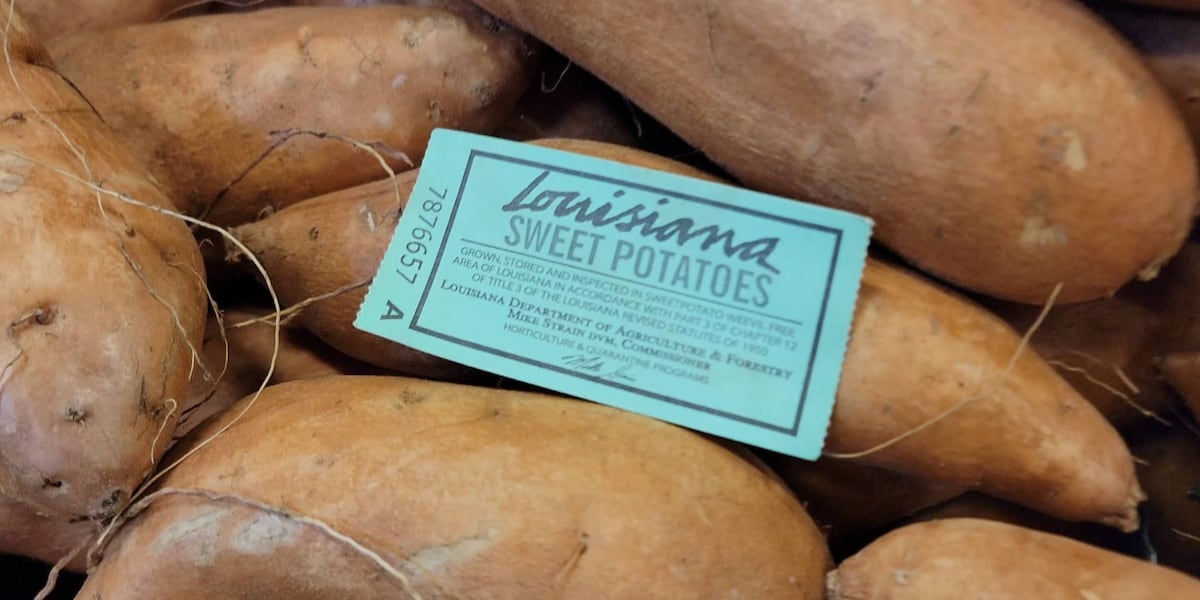 A new sweet potato is helping farmers [Video]