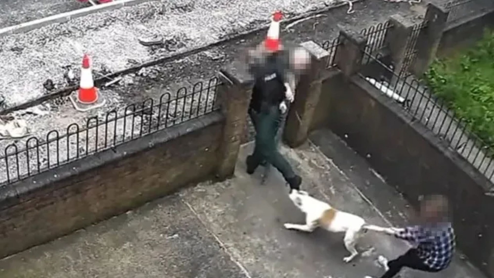 Horror moment XL Bully attacks cop as dog ‘latches onto her boot’ causing injuries and major probe launched [Video]
