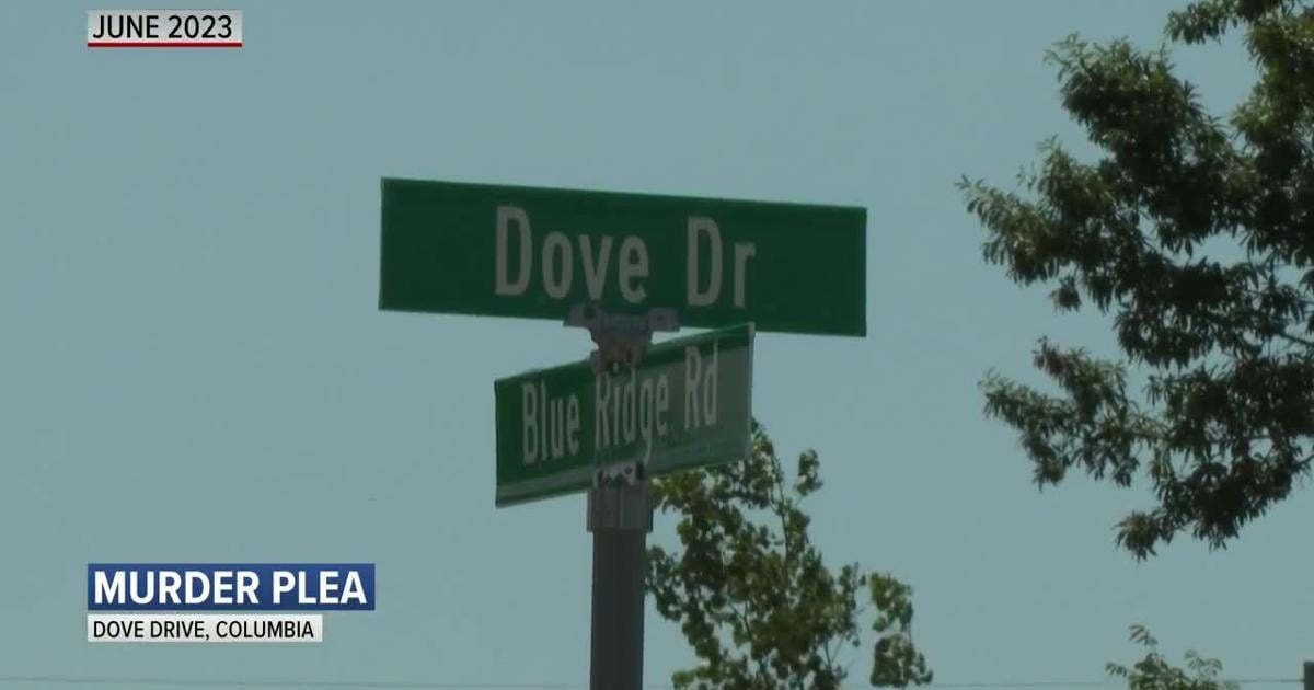 VIDEO: Man connected to 2023 Dove Drive homicide pleads guilty | News [Video]