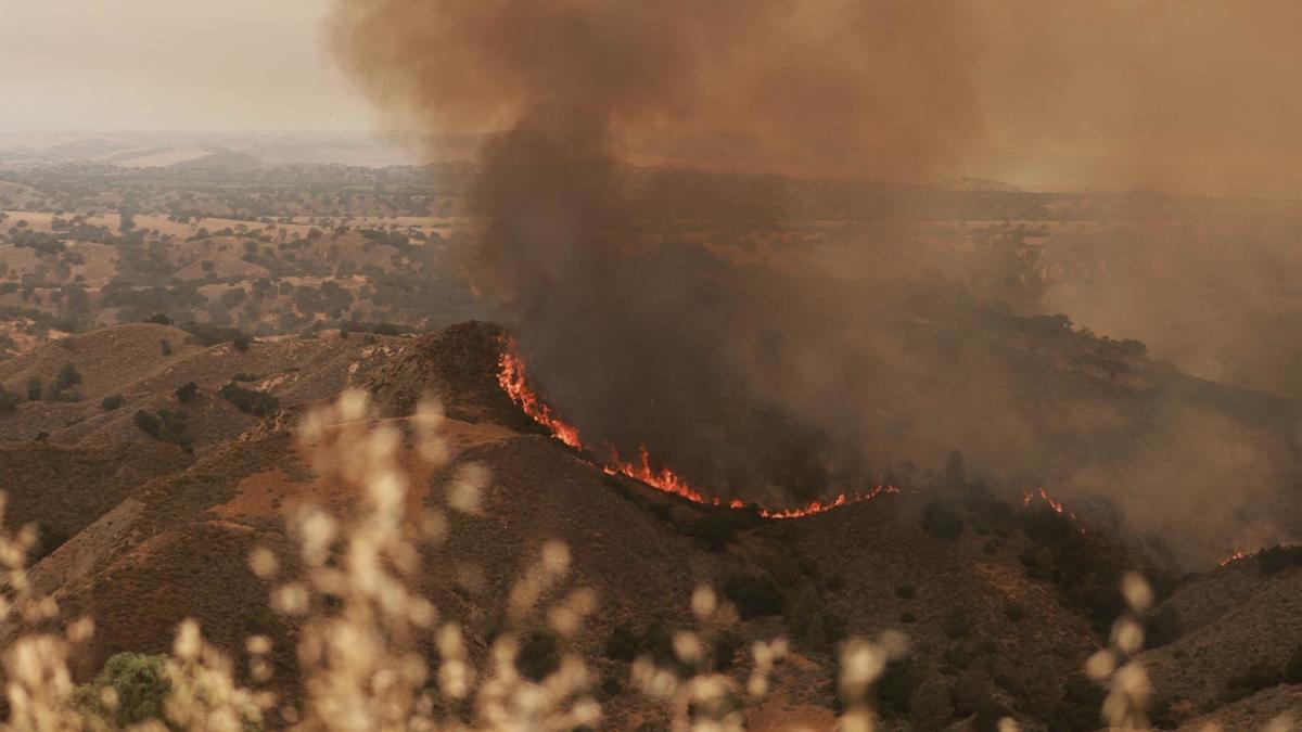 Santa Barbara County blaze explodes, prompting evacuations amid heat wave [Video]