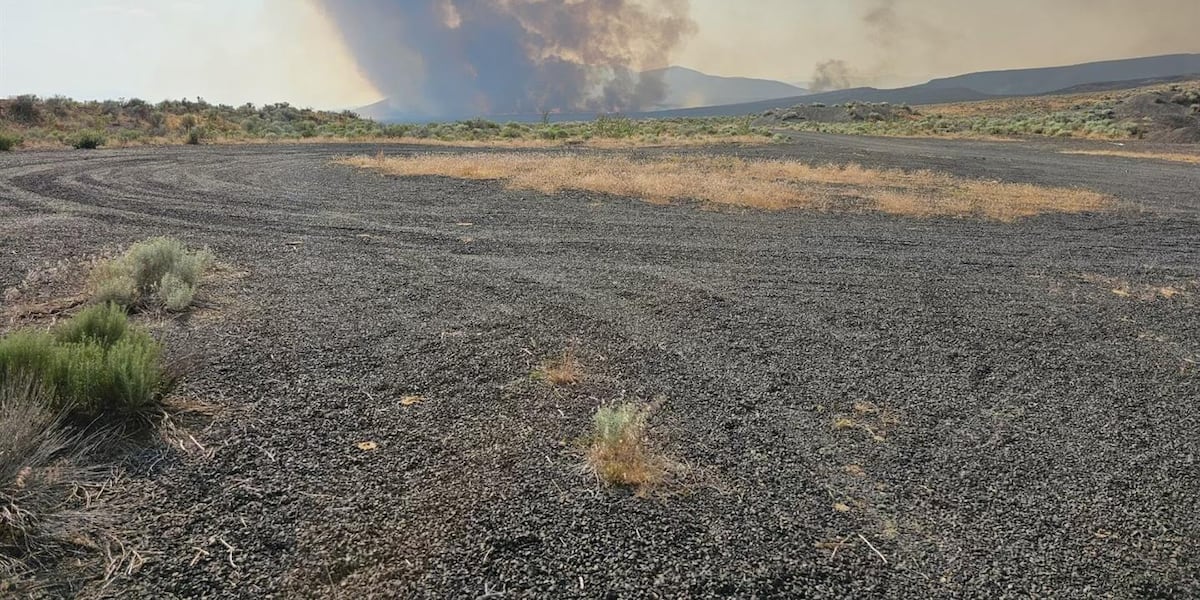 Kotek declares extended state of emergency due to threat of wildfires [Video]