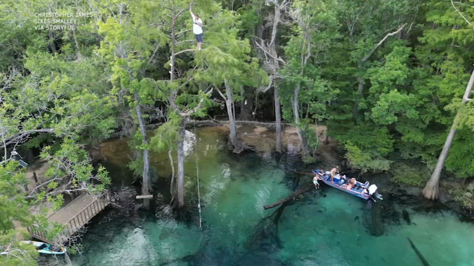 Christopher James Sikes Smalley ‘falls 60 feet’ into water at Crystal Springs Vernon, Florida after branch breaks: VIDEO