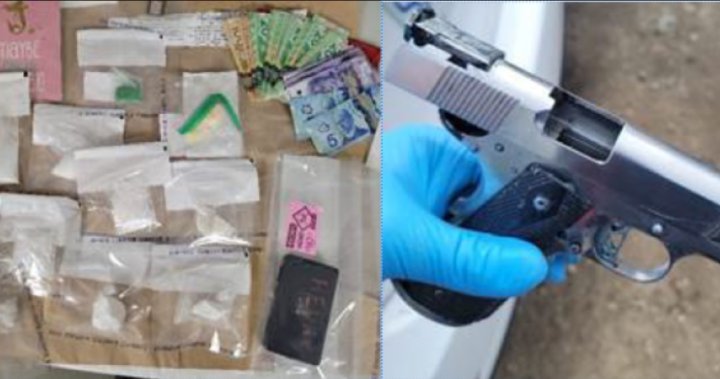 Lake Country police seize methamphetamine, fentanyl in traffic stop [Video]