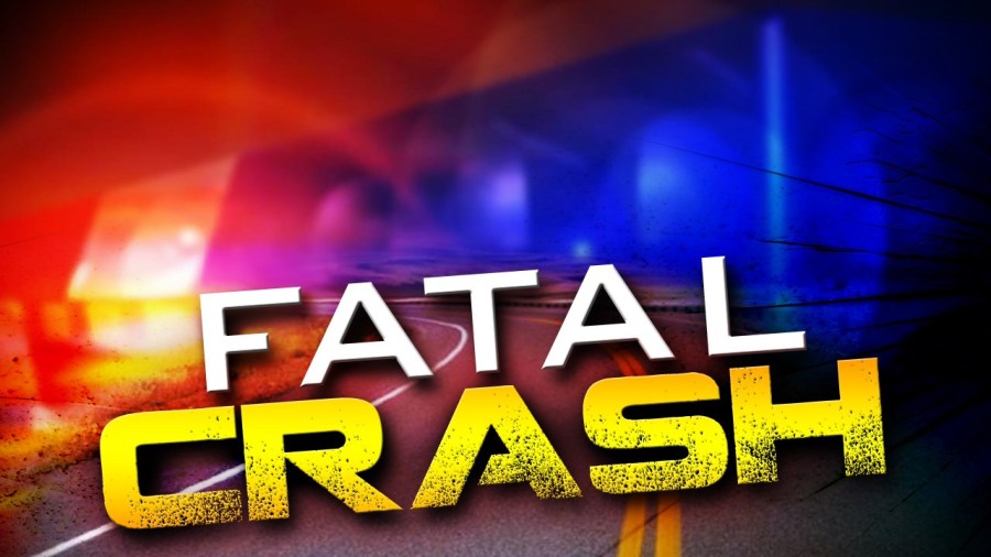 Pedestrian hit, killed in St. Bernard Parish crash [Video]