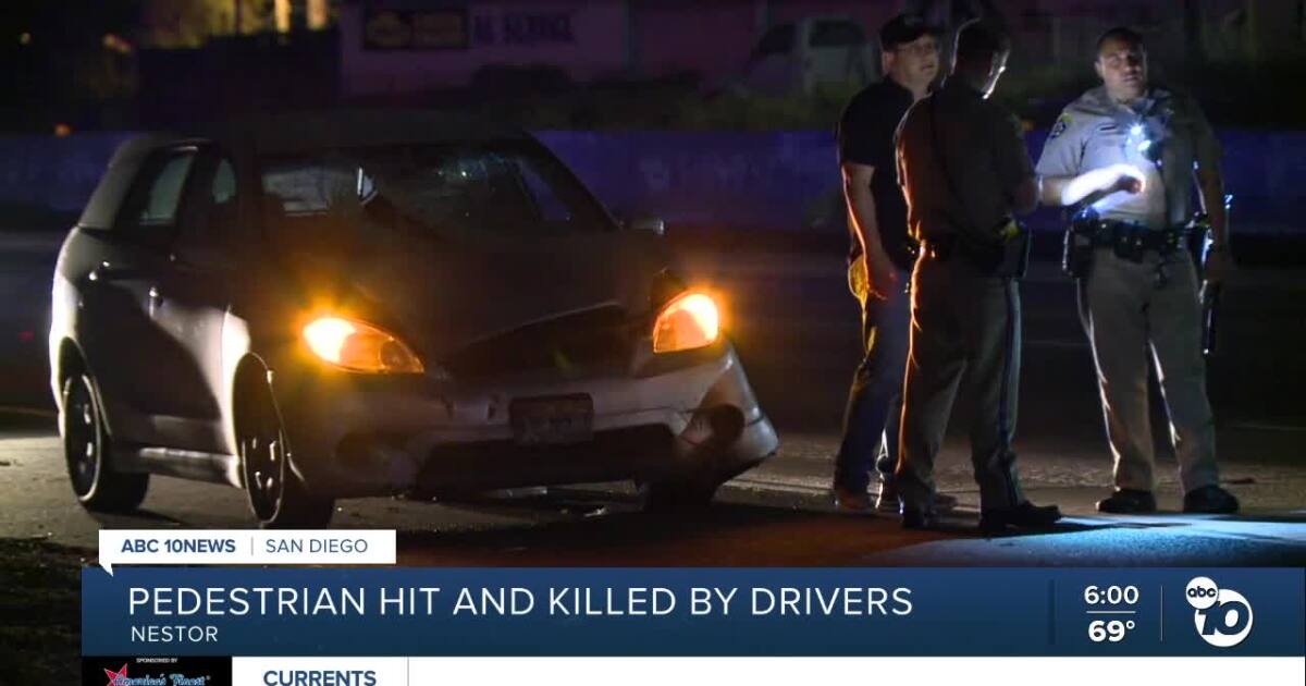 Pedestrian hit by at least 2 vehicles, killed on I-5 in Nestor area [Video]