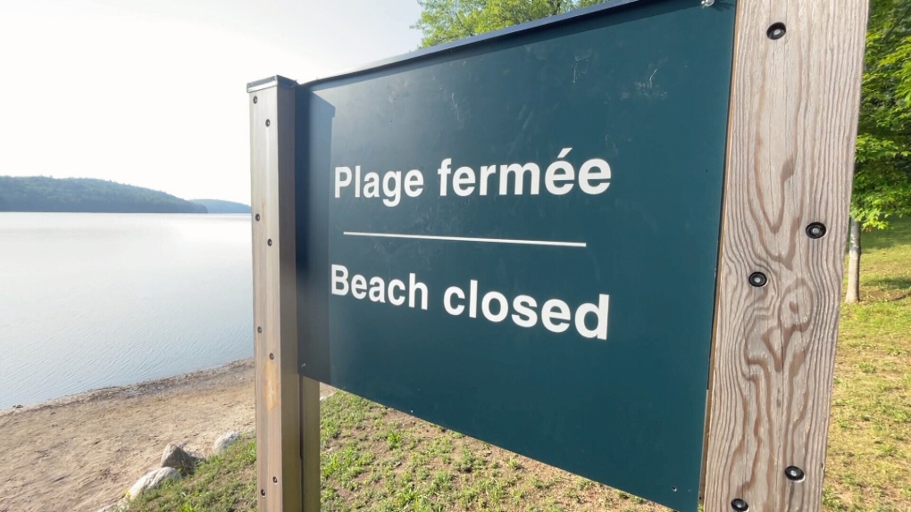 Phillippe Lake closed due to suspected blue-green algae bloom [Video]