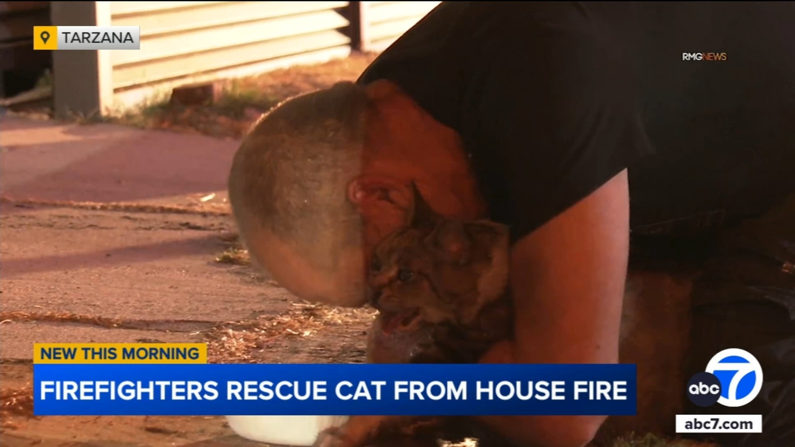 Firefighters rescue cat from Tarzana house fire, owner overcome with emotion [Video]