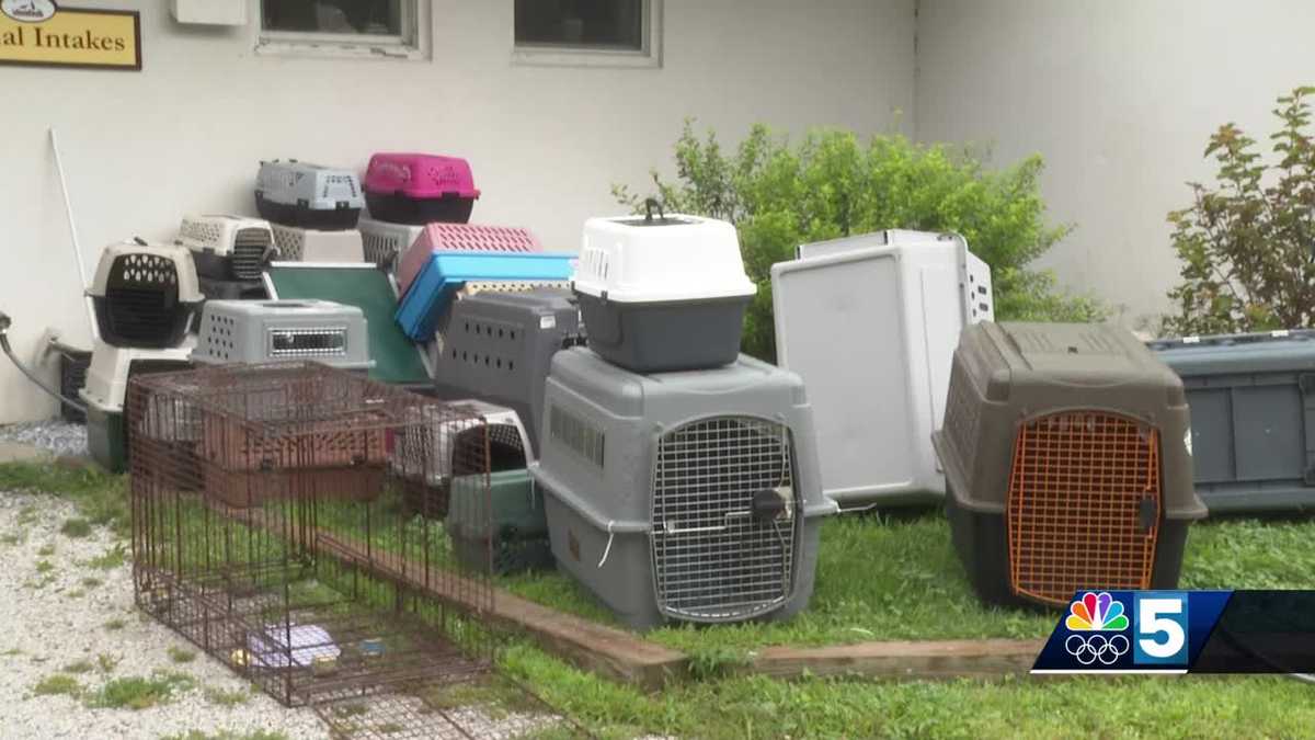 Rutland Humane Society takes in close to 30 dogs after home collapse in Mount Tabor [Video]